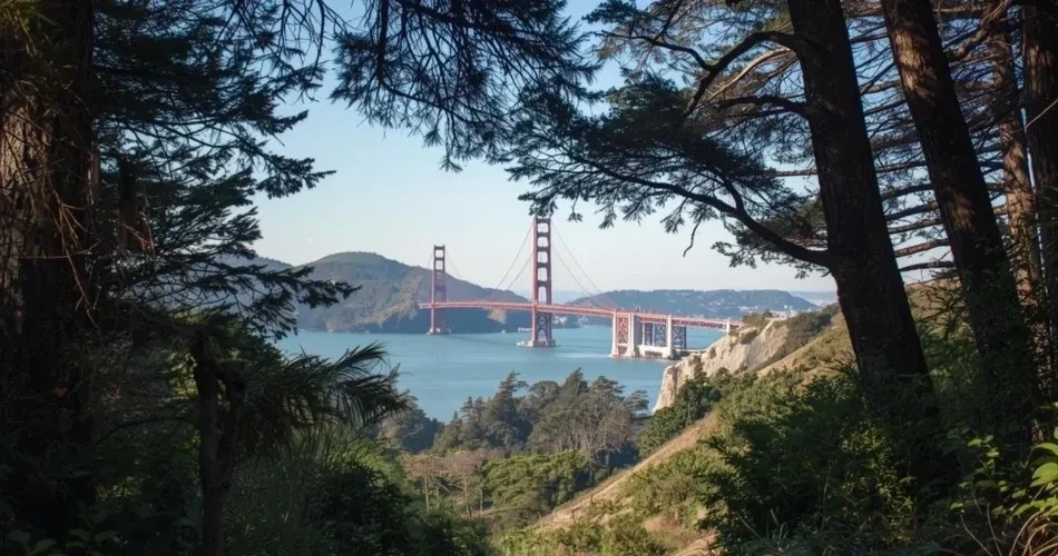 Best Hiking Trails & Scenic Viewpoints in San Francisco