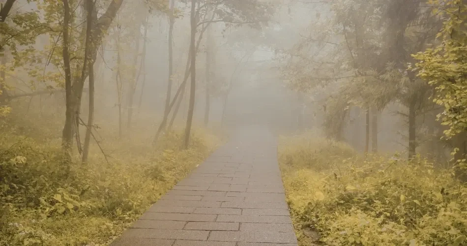 Best Hiking Trails & Scenic Viewpoints in San Francisco
