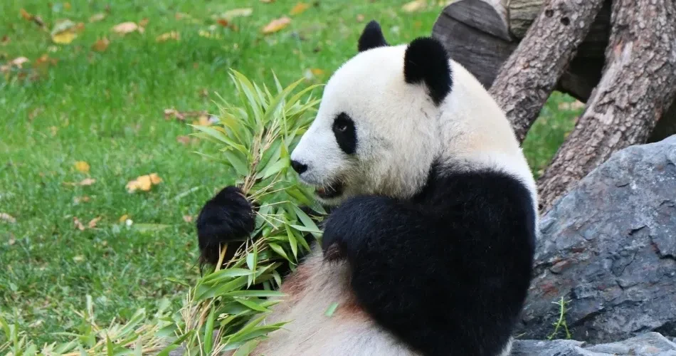 Top Family-Friendly Attractions in San Francisco for All Ages
